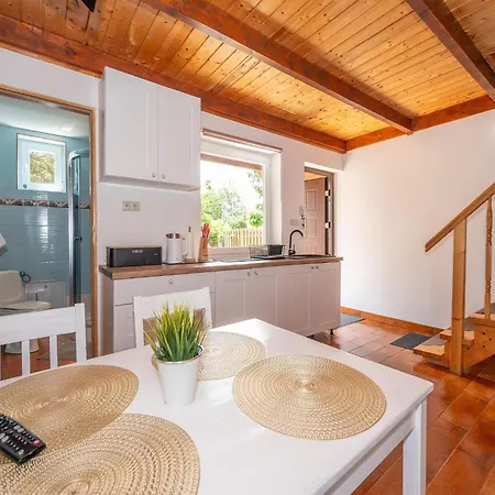 Comfortable Homes With A Summer Pool Holiday home