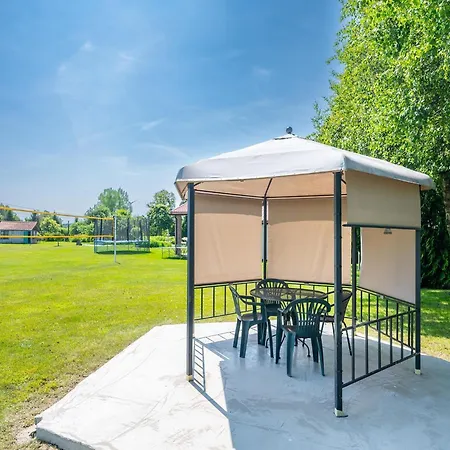 Comfortable Homes With A Summer Pool